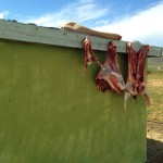 Curing Meat Mongolia