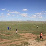 Naadam Horse Race in the background