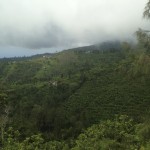 Scenery Bali