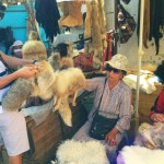 Examining the furs