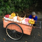 Fruit vendor outside