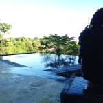 Puri Mangga Jungle House Pool and Statue