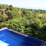 Puri Mangga Jungle House View