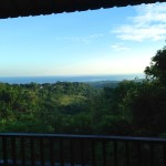 Puri Mangga Jungle House View Terrace