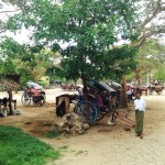 Bagan Horse Carts