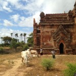 Bagan Temples 3