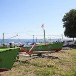 Lovina Green Boats