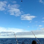 Cape Cod Kite Fishing 2