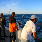 Cape Cod Shark Fishing
