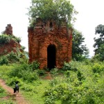 Indein Temple Complex Ruins and Dog
