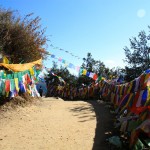 Bhutan Tigers Nest Flags Path