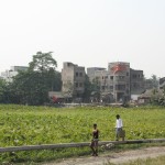Calcutta India Farm