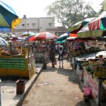 Dakhineswar Market Path