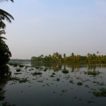 Kerala Backwaters River