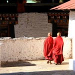 Punakha Dzong Bhutan Monks