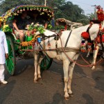 Taj Mahal Horse Carriage