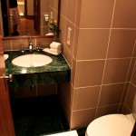 Trident Agra Guest Bathroom
