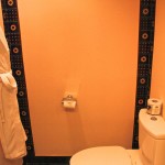 Trident Jaipur Toilet