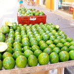 Cartagena Fruit