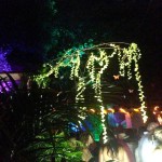 Garden of Delights Dance Floor New Years in Cartagena