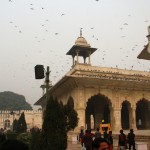 Rang Mahal with Pigeons Everywhere