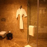 Suryagarh Bathroom Shower