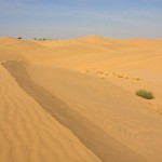 Thar Desert View 2