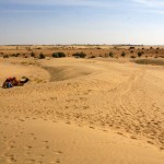 Thar Desert with Camel View