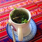 Imata Stone Forest Tea