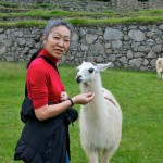 Machu Picchu Ma with Llama