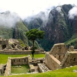 Machu Picchu View with single tree