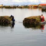 Uros Floating Islands Reed Collectors