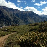 Colca Canyon Path