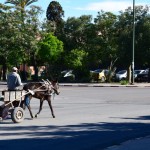Marrakech Horsecart