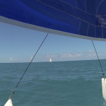 Sailing Blue Waters Hobie Cat