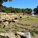 Carthage Amphitheater Sheep - Version 2