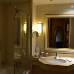 Hilton Alger Room Shower