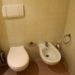 Hilton Alger Room Toilet