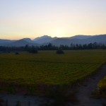Mendoza to Santiago Vineyard sunset