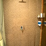 The Aubrey Santiago Room Shower