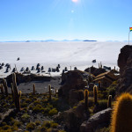 Uyuni Salt Flats Isla Incahuasi Cars