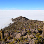 Uyuni Salt Flats Isla Incahuasi Island