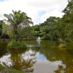 Guembe Biocenter Lagoon