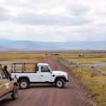 Ngorongoro Crater Rhino Road Block