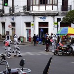 Sucre Street Zebras