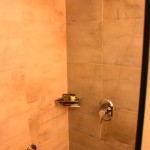 Best Western Premier Petion-Ville Room Shower 2