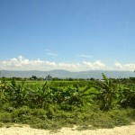 Haiti Road Scene Green