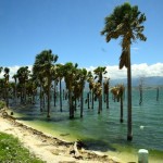 Haiti Road Scene Lake
