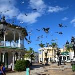 Puerto Plata Square Pigeons