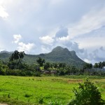 Trinidad Scenery